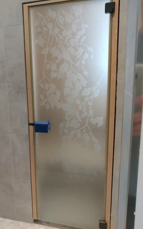 all glass etched sauna door